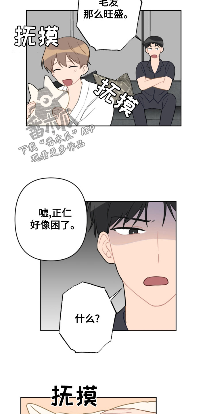 恋爱攻势漫画,第119章：同眠5图