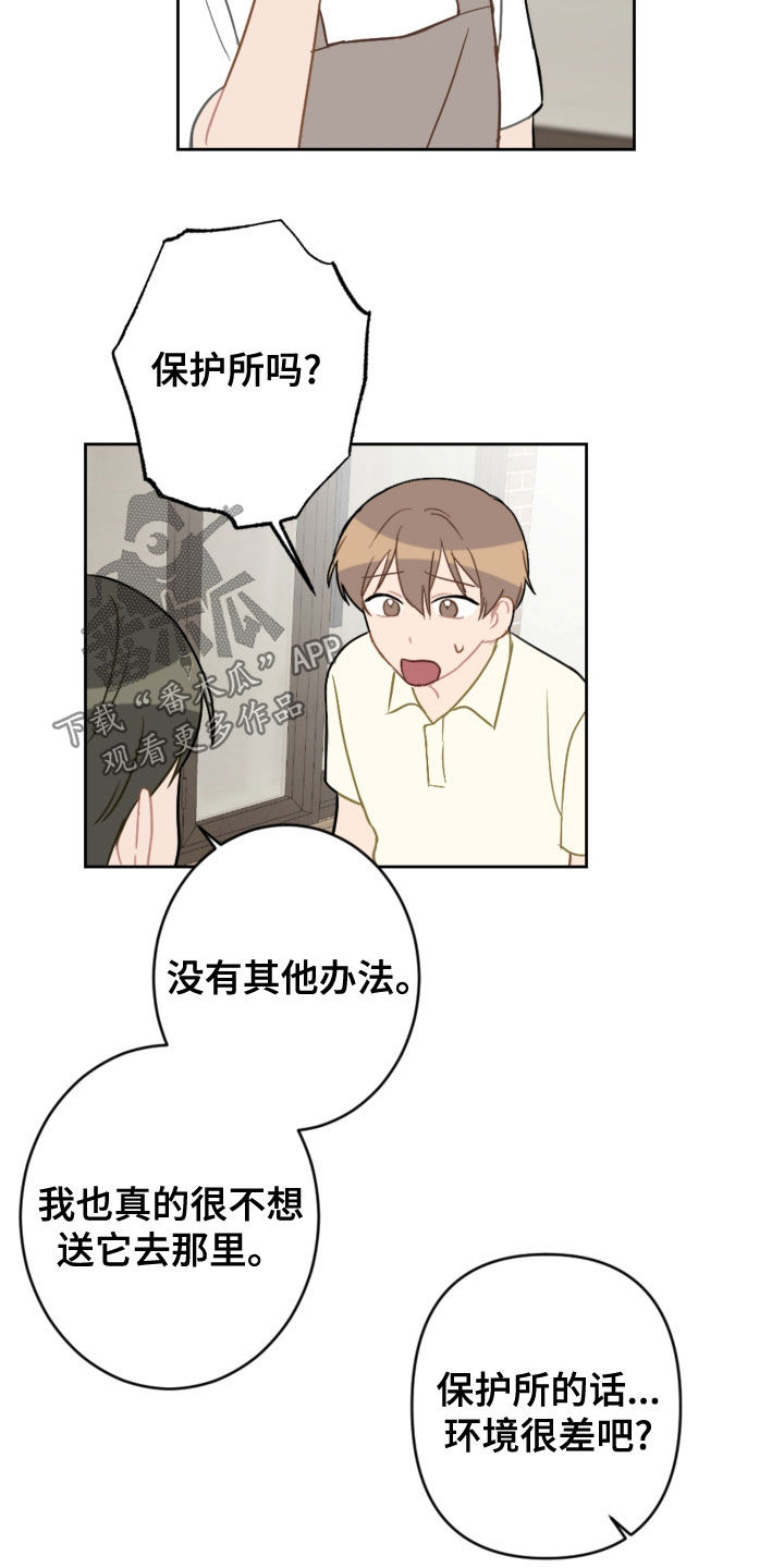 恋爱攻势漫画,第113章：终极武器1图