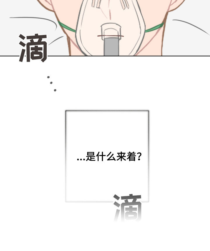恋爱攻势漫画,第93章：愿望2图