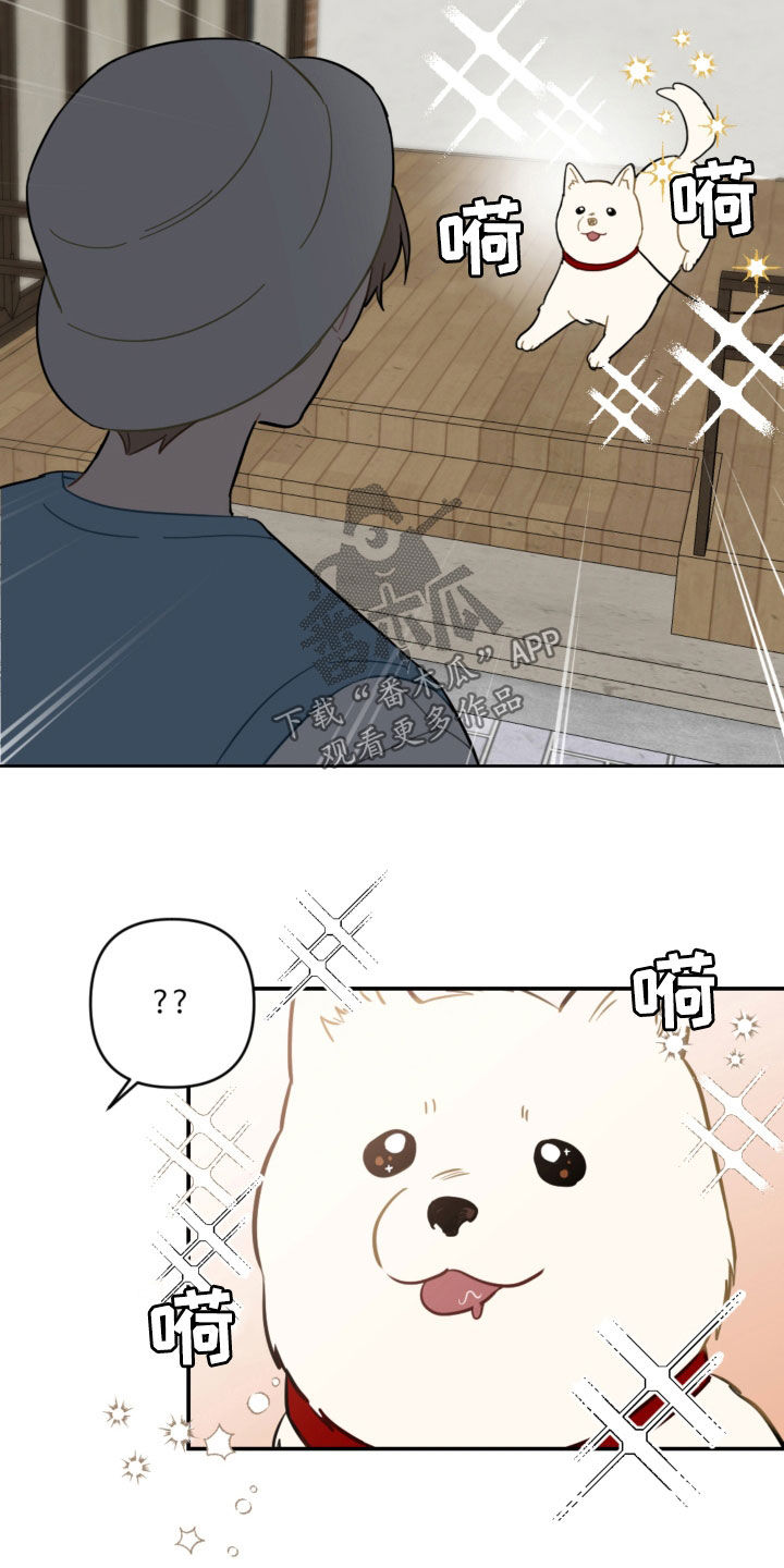 恋爱攻势漫画,第103章：解决方法5图