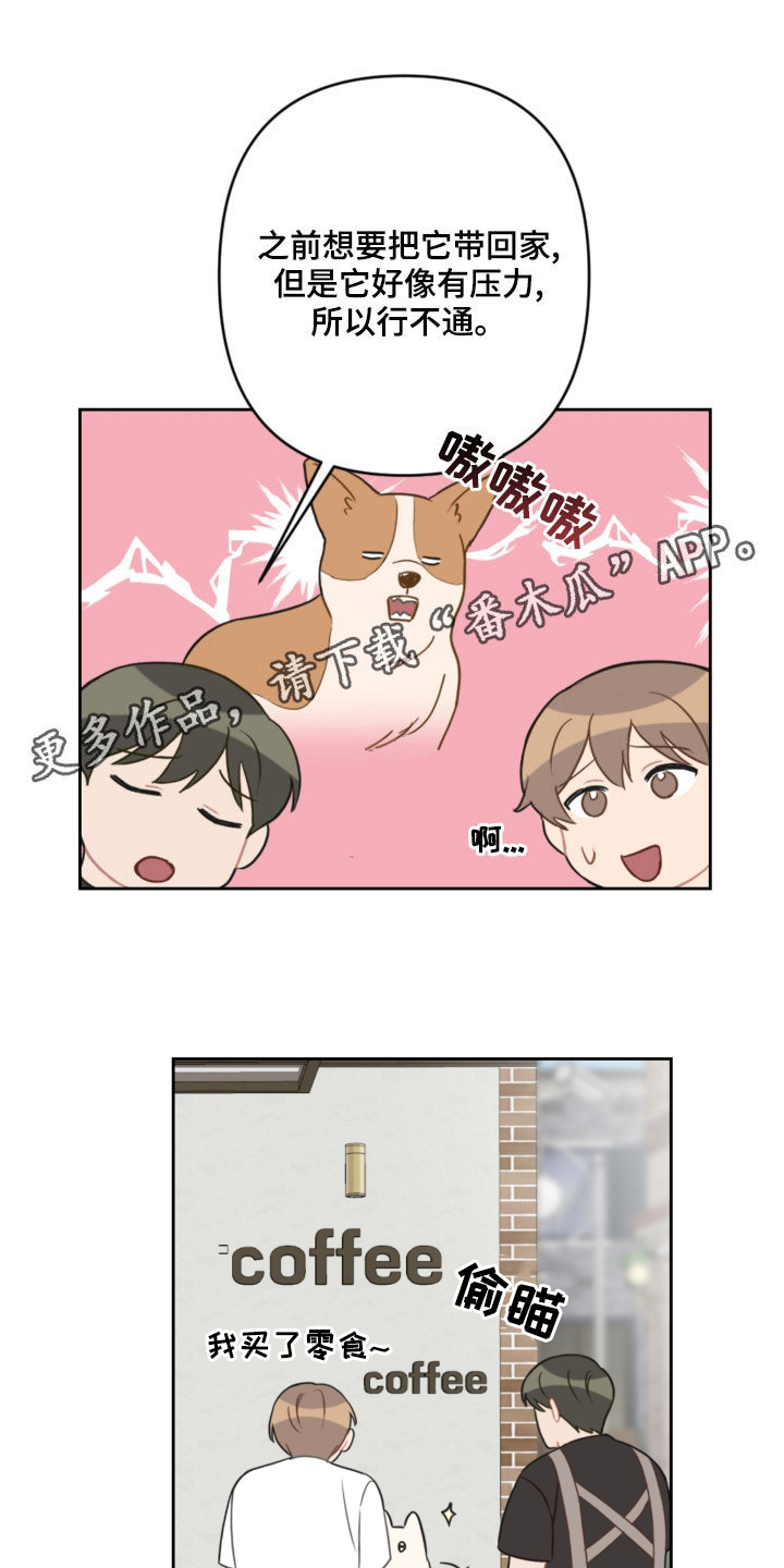 恋爱攻势漫画,第109章：吓到1图