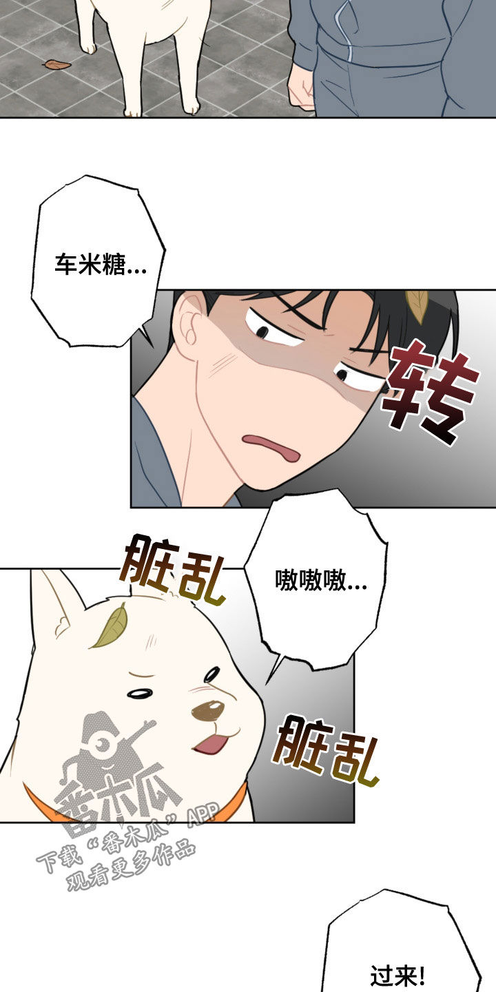 恋爱攻势漫画,第123章：过生日2图