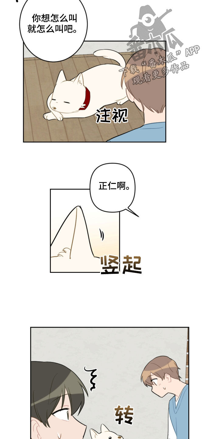 恋爱攻势漫画,第104章：名字5图