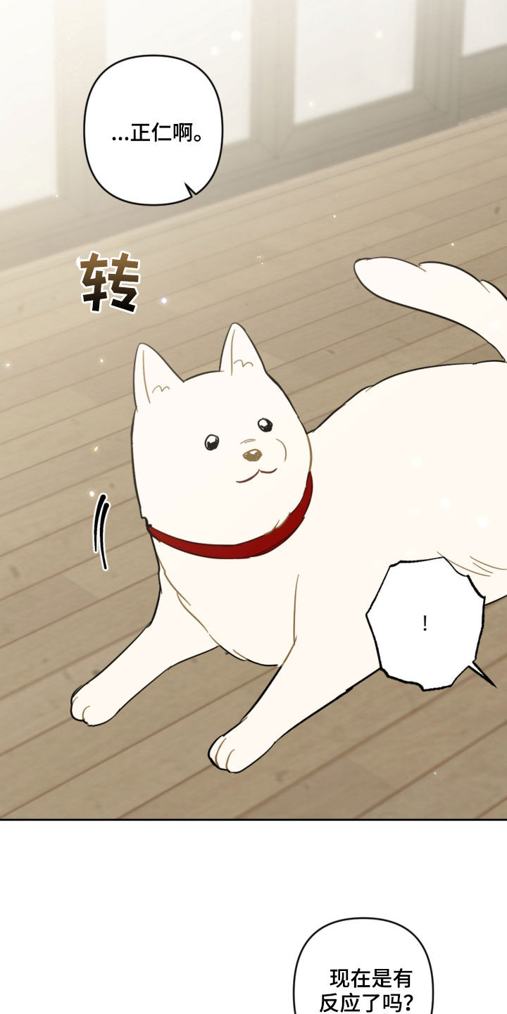 恋爱攻势漫画,第104章：名字2图