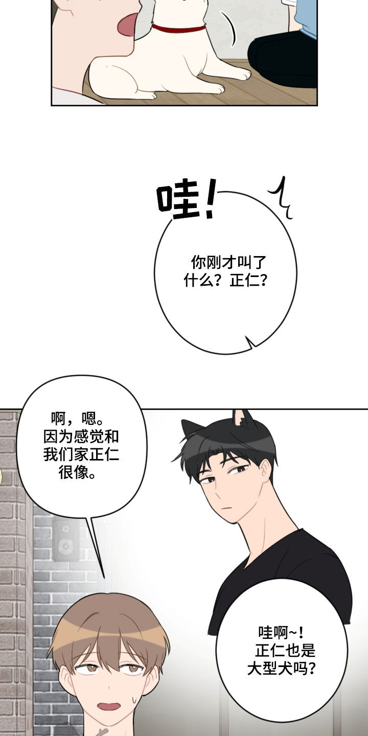 恋爱攻势漫画,第104章：名字1图