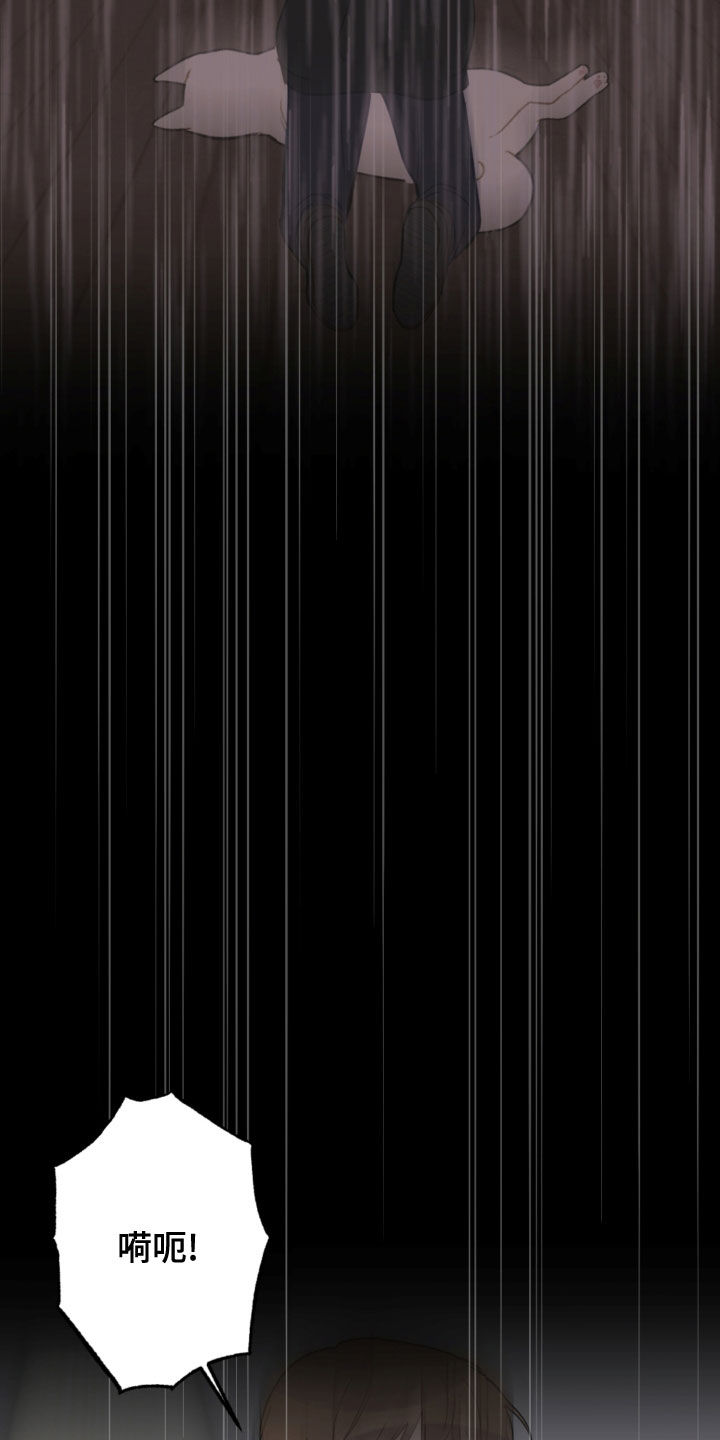 恋爱攻势漫画,第117章：救助狗狗5图