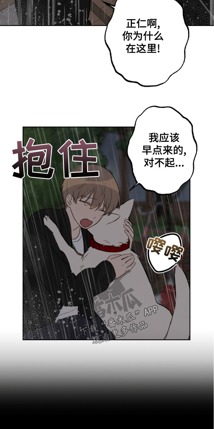恋爱攻势漫画,第118章：开车2图