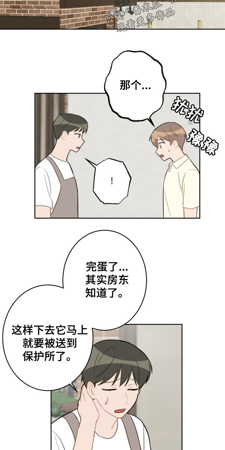 恋爱攻势漫画,第113章：终极武器5图