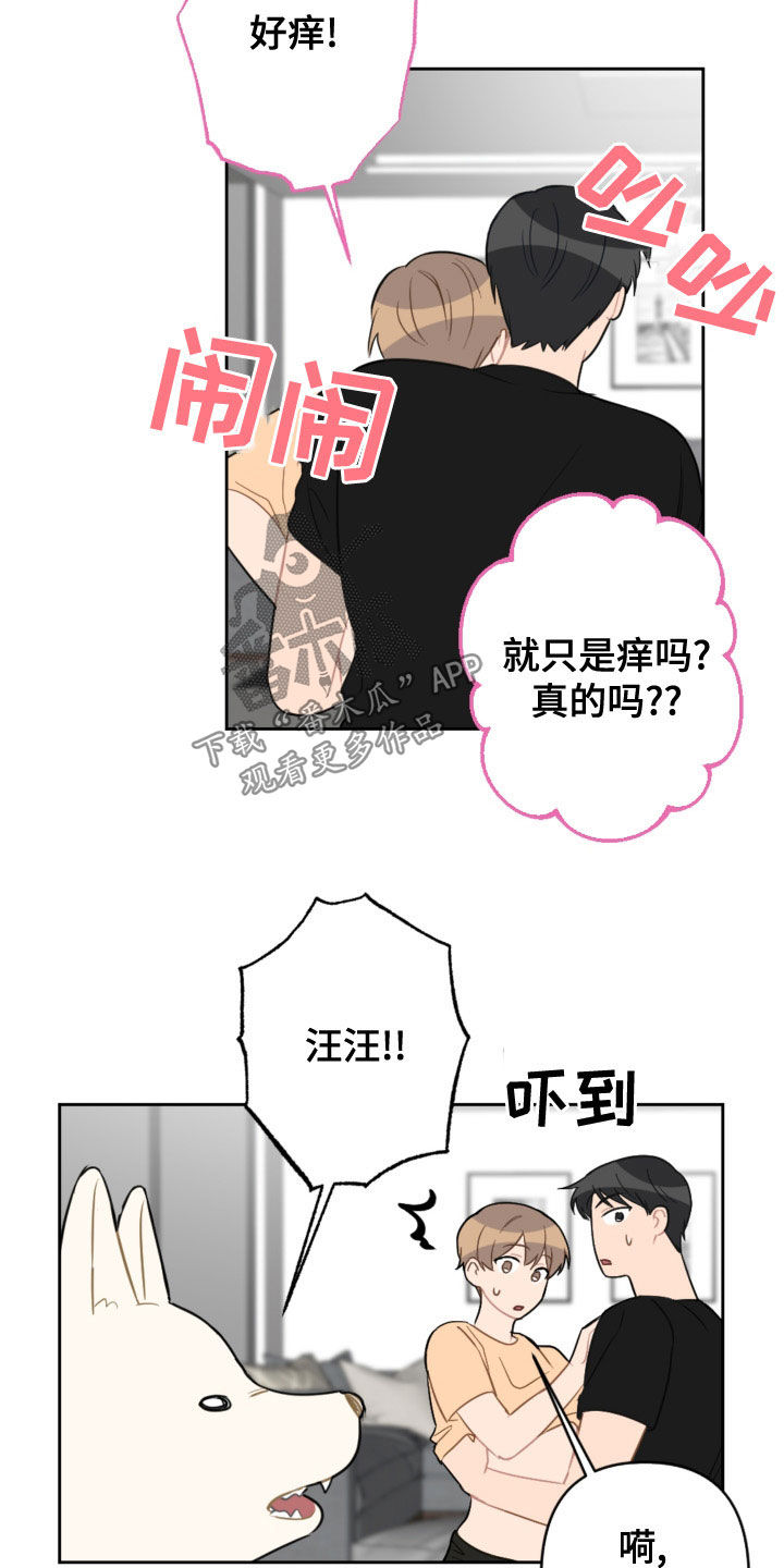 恋爱攻势漫画,第120章：护主3图