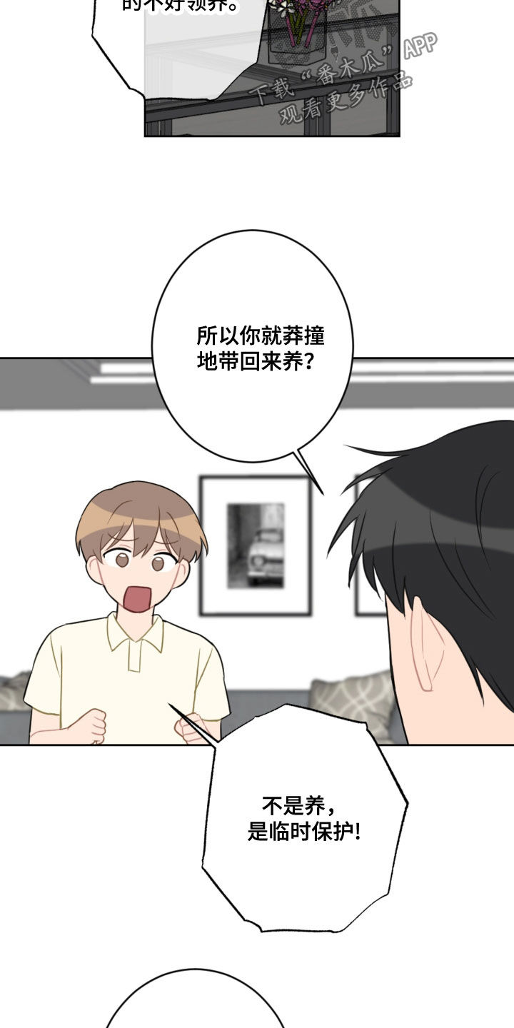 恋爱攻势漫画,第114章：忘记的约定1图