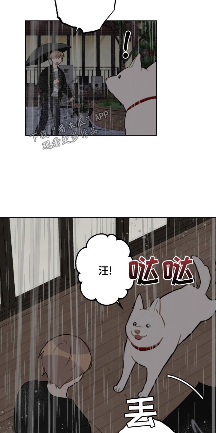 恋爱攻势漫画,第118章：开车1图