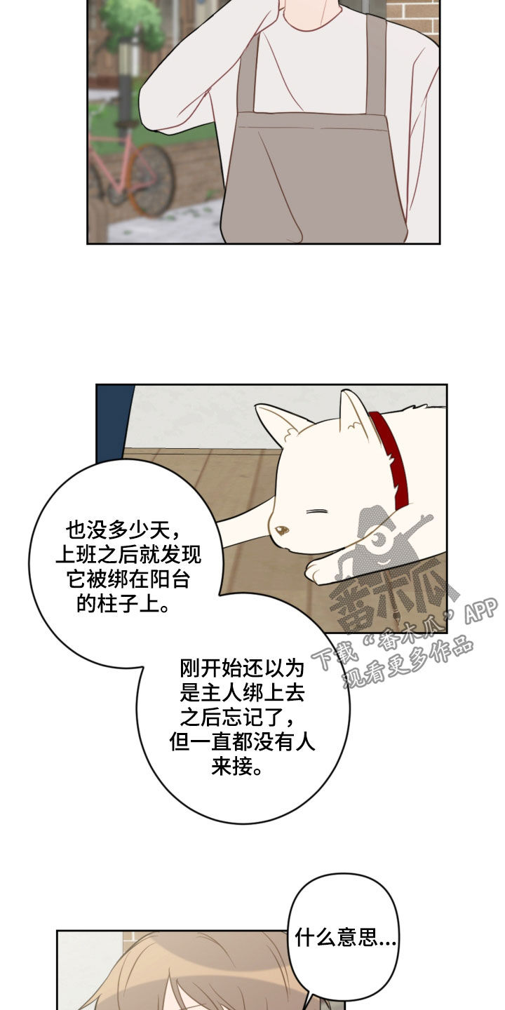 恋爱攻势漫画,第104章：名字5图