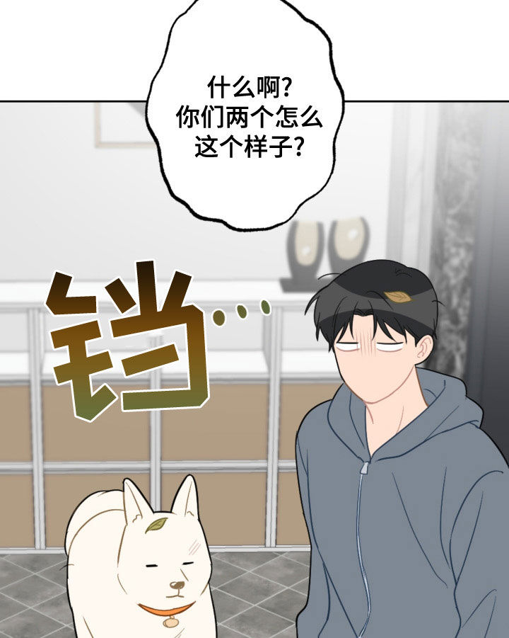恋爱攻势漫画,第123章：过生日1图