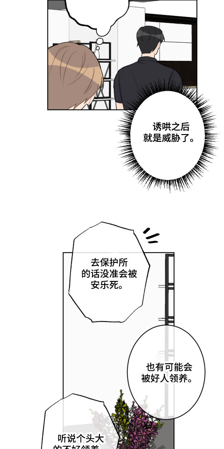 恋爱攻势漫画,第114章：忘记的约定5图