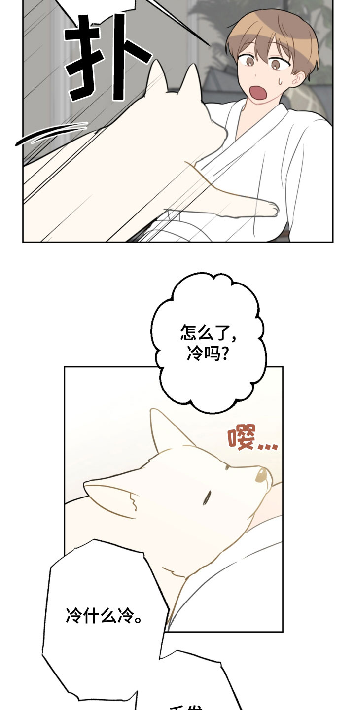 恋爱攻势漫画,第119章：同眠4图