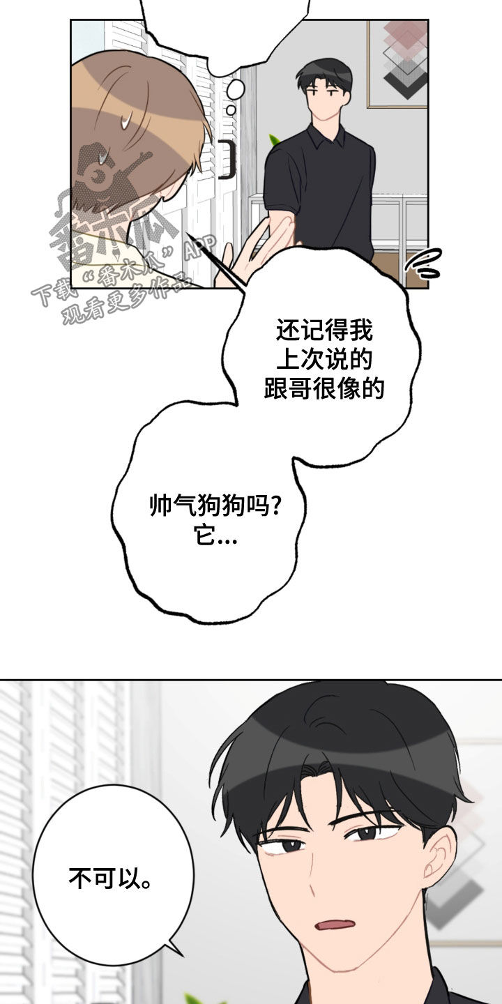 恋爱攻势漫画,第113章：终极武器3图