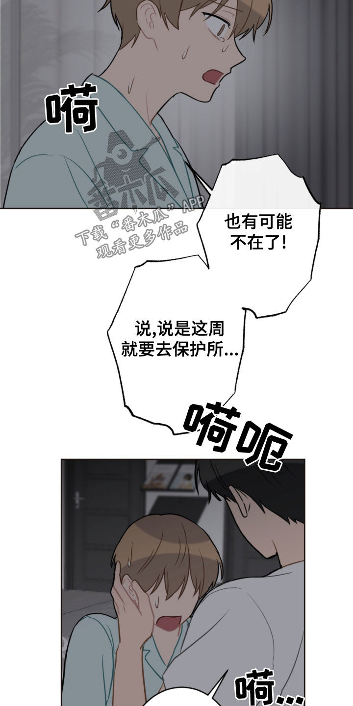 恋爱攻势漫画,第117章：救助狗狗4图