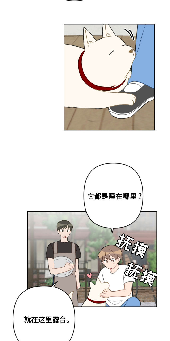 恋爱攻势漫画,第108章：避风港4图