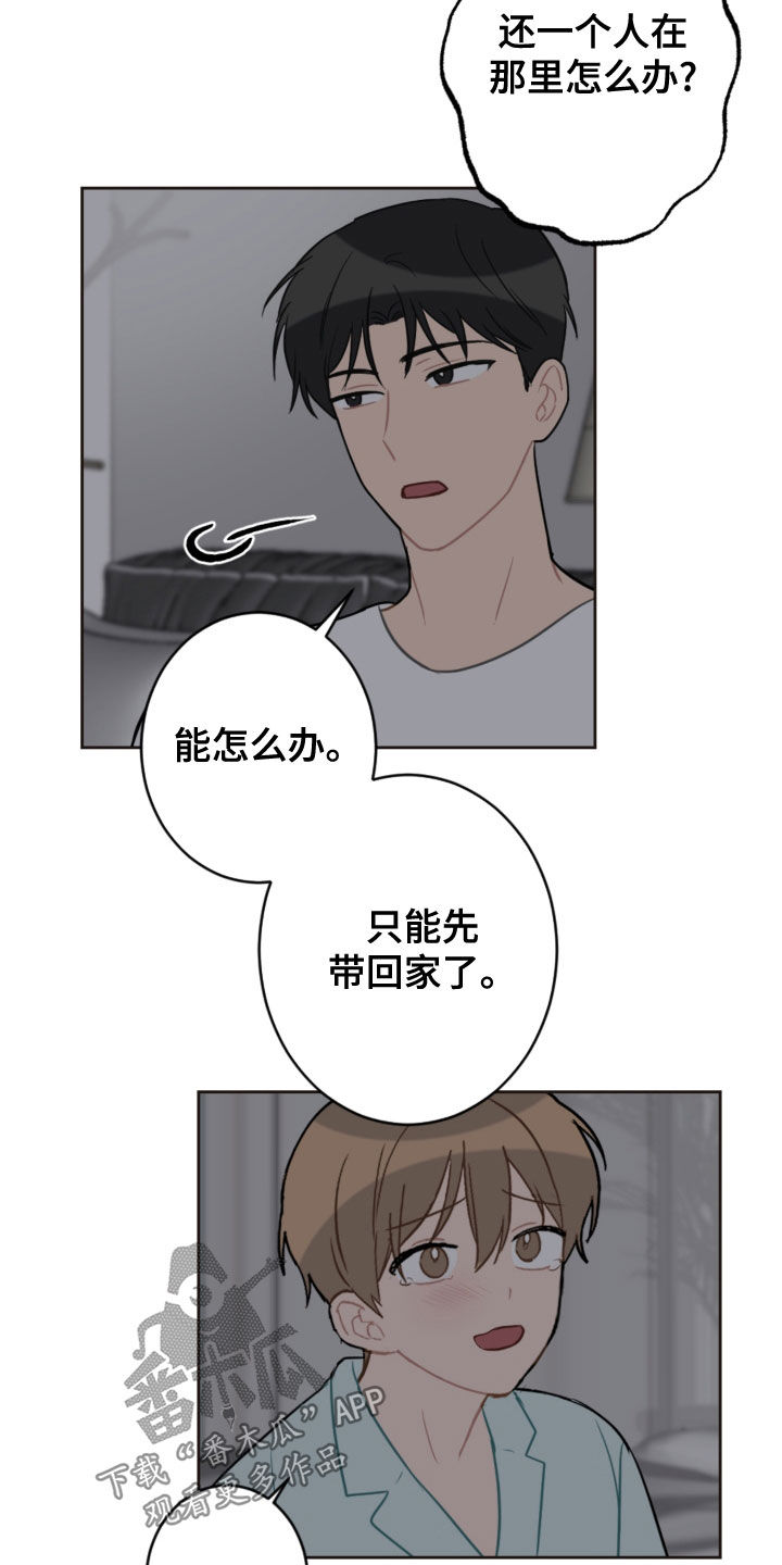 恋爱攻势漫画,第117章：救助狗狗1图