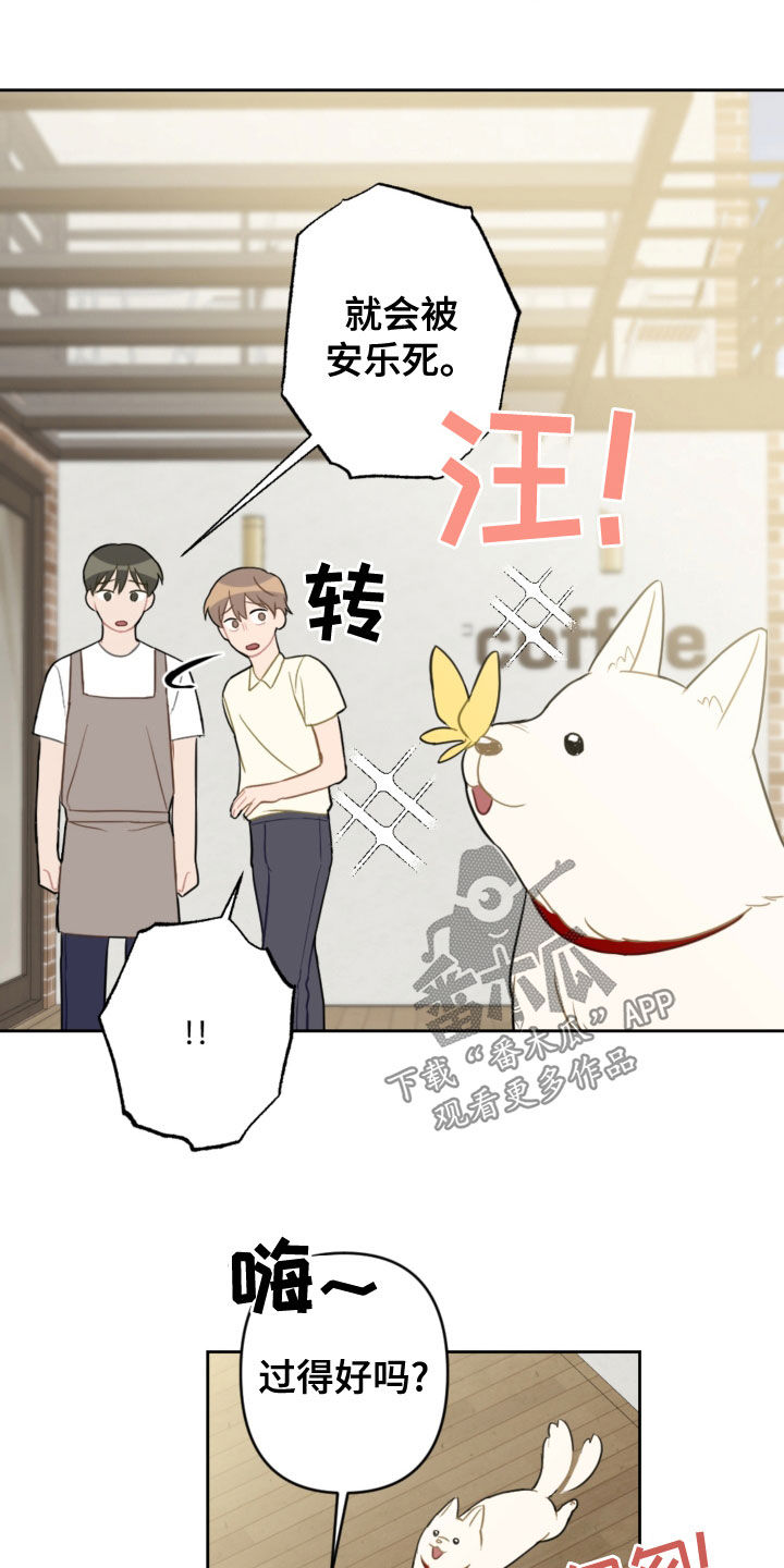 恋爱攻势漫画,第113章：终极武器3图