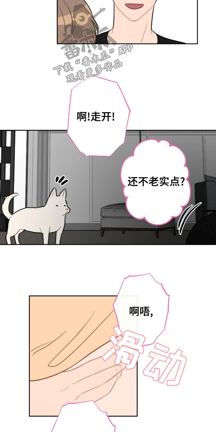 恋爱攻势漫画,第120章：护主2图