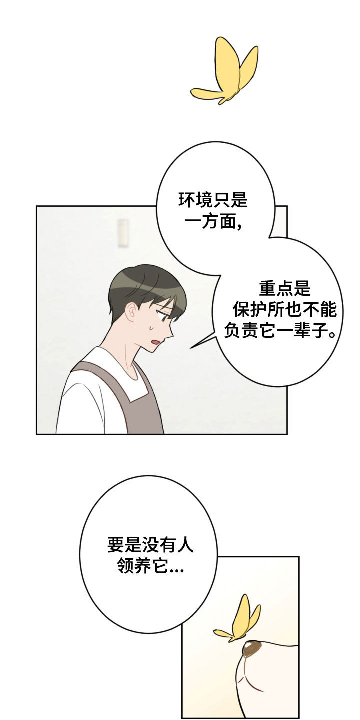 恋爱攻势漫画,第113章：终极武器2图