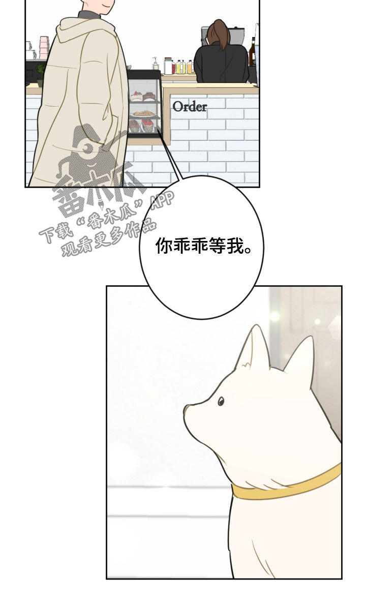 恋爱攻势漫画,第127章：摆脱阴影（完结）3图