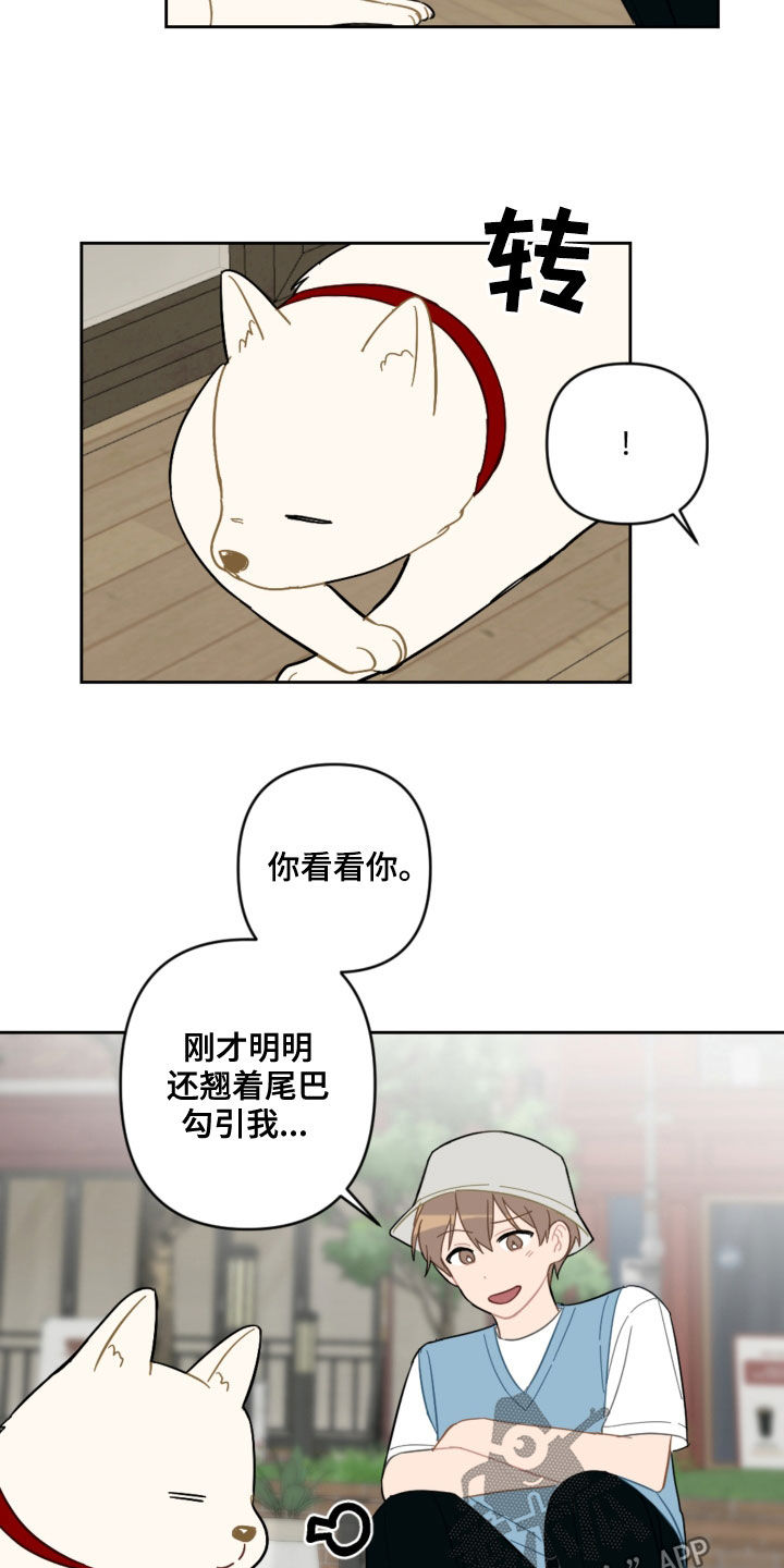 恋爱攻势漫画,第104章：名字2图