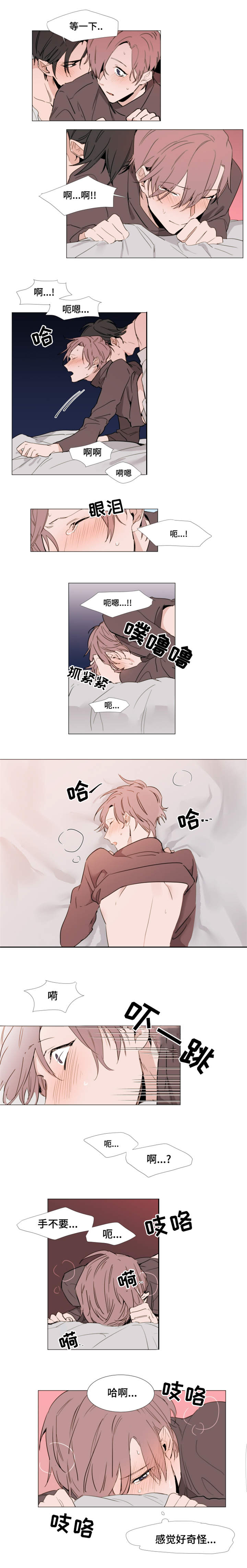 植物效应47漫画,第16章：草莓4图