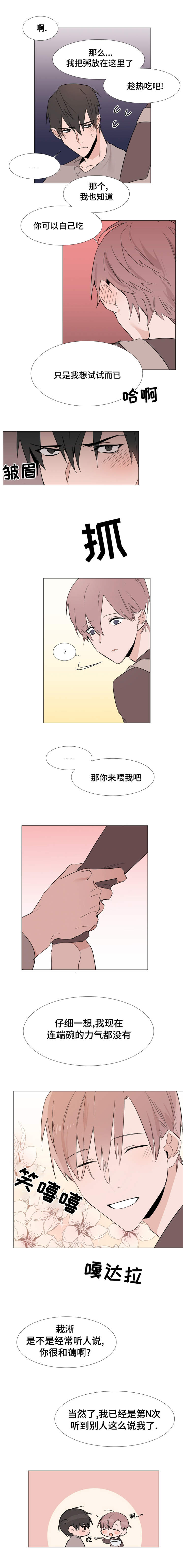 植物效应40漫画,第14章：照顾1图