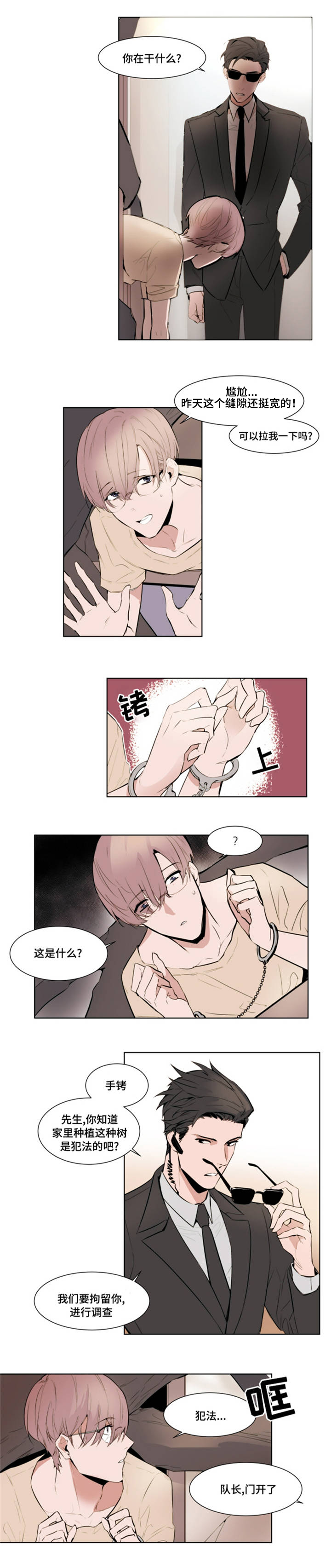 植物效应34漫画,第1章：报警3图