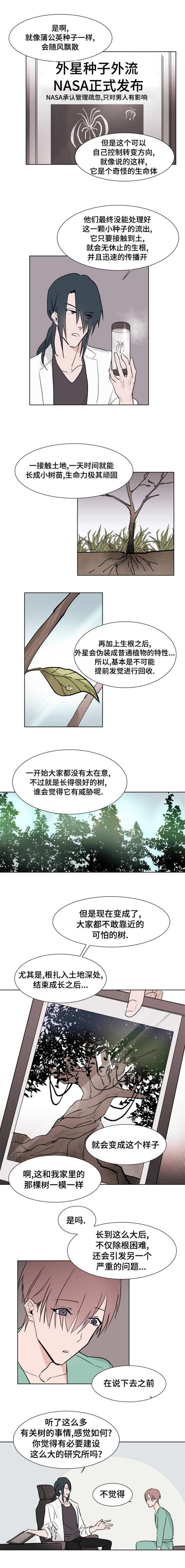 植物效应33漫画,第4章：医生4图