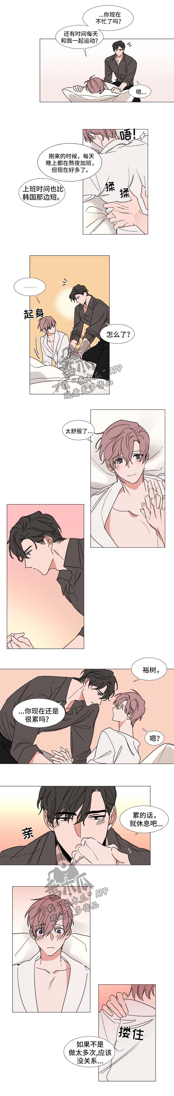 植物效应漫画全集免费下拉式漫画,第78章：标准2图