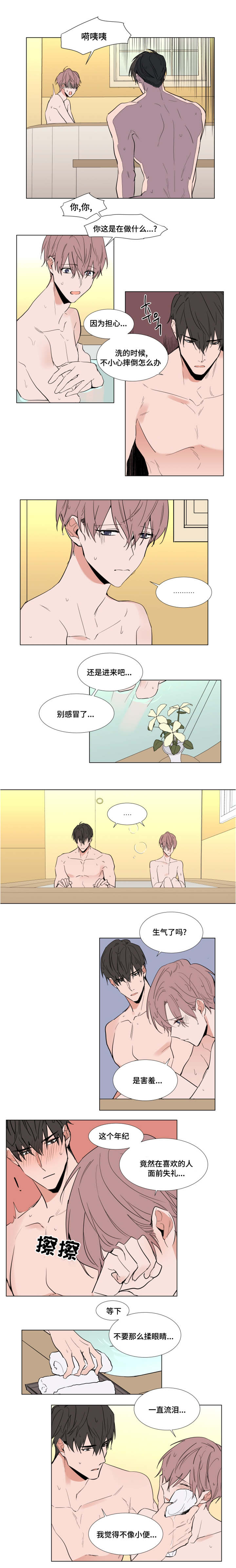 植物效应漫画漫画,第53章：礼物2图