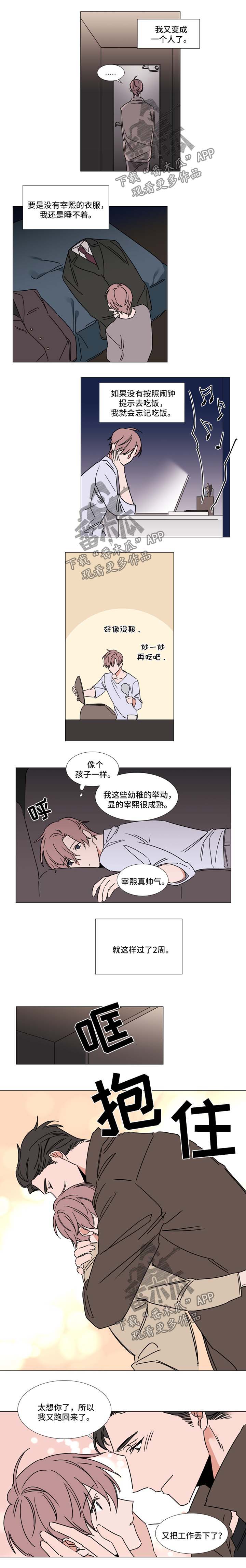 植物效应漫画漫画,第71章：想你4图