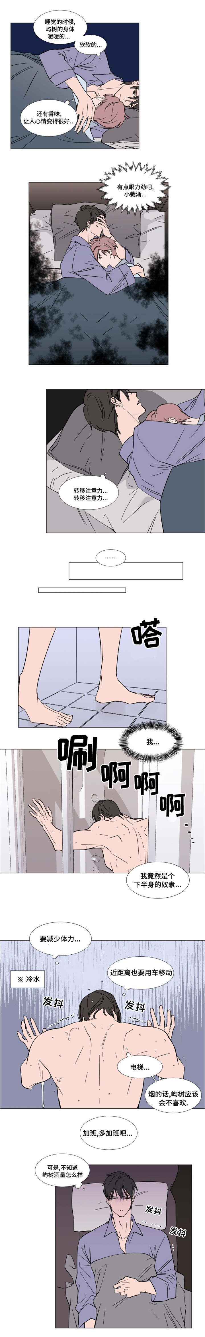 植物效应67漫画,第59章：父母的遗物4图