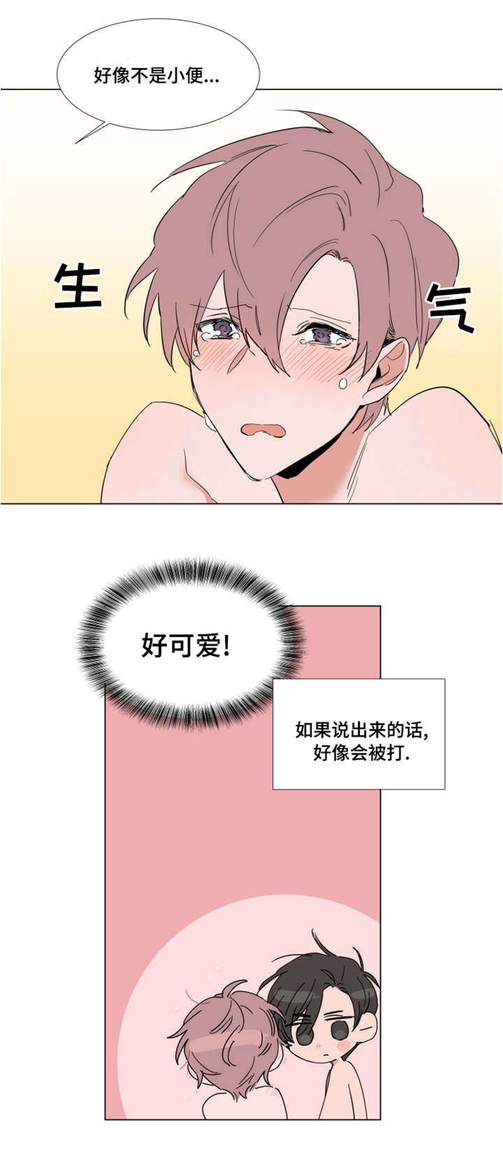 植物效应漫画漫画,第52章：禁令3图