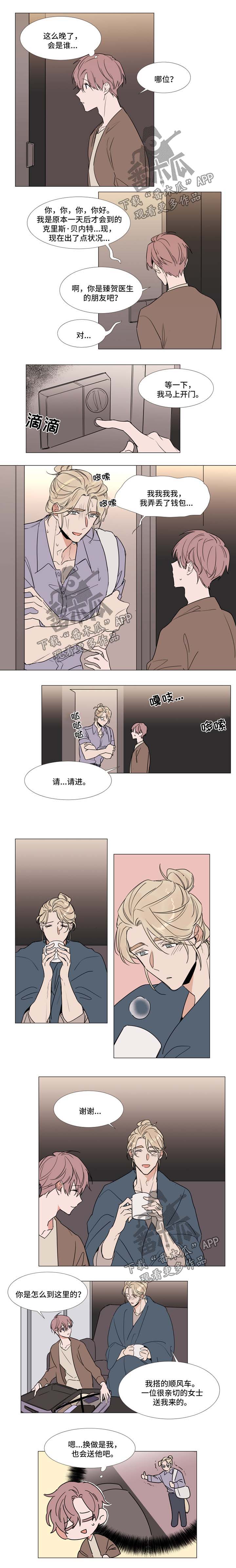 植物效应43漫画,第73章：来客3图