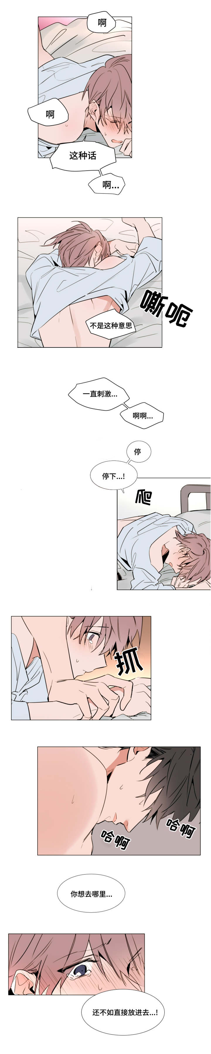 植物效应第59集漫画,第45章：体力很好4图