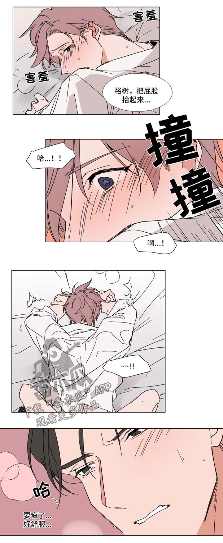 植物效应是什么意思漫画,第65章：诱惑4图