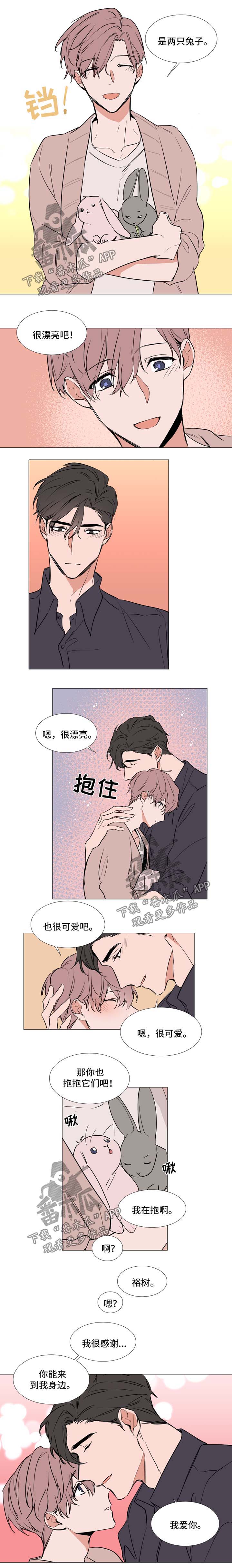 植物效应第59集漫画,第84章：幸福生活（完结）3图