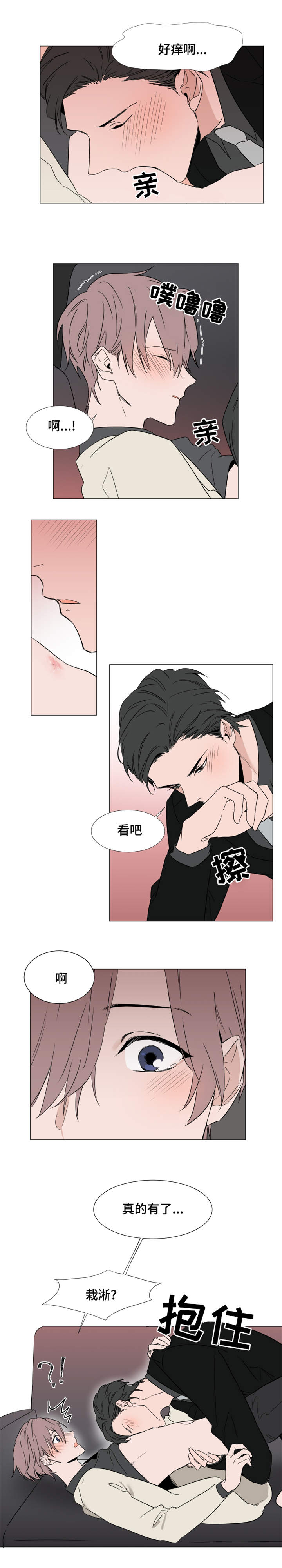 植物效应第59集漫画,第17章：心跳4图