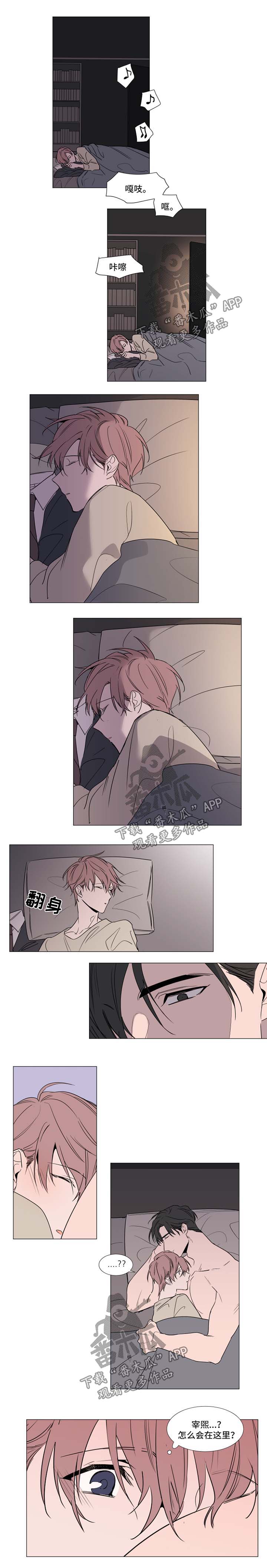 植物效应是什么意思漫画,第70章：我错了2图