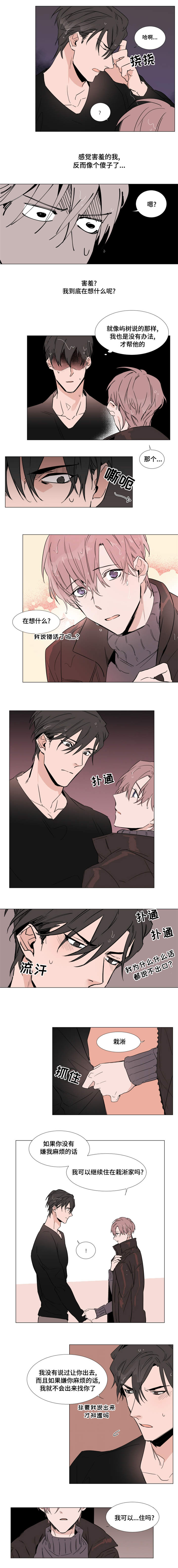 植物效应33漫画,第13章：回家吧5图