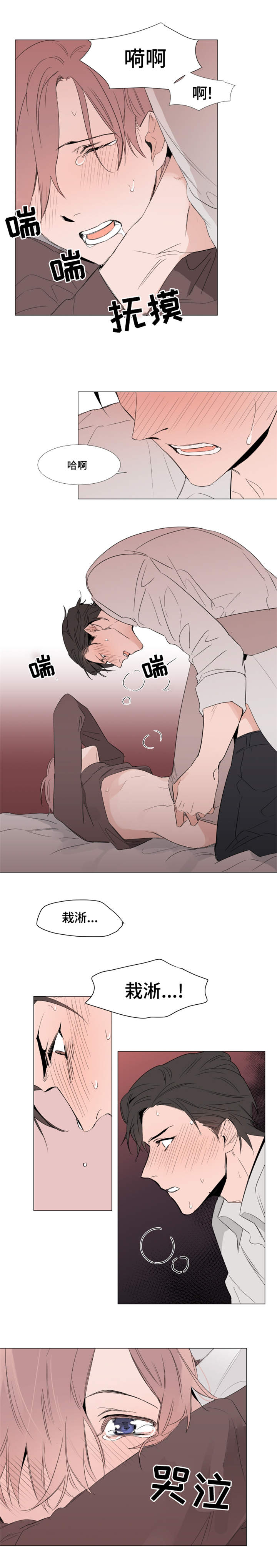 植物效应43漫画,第15章：周期2图