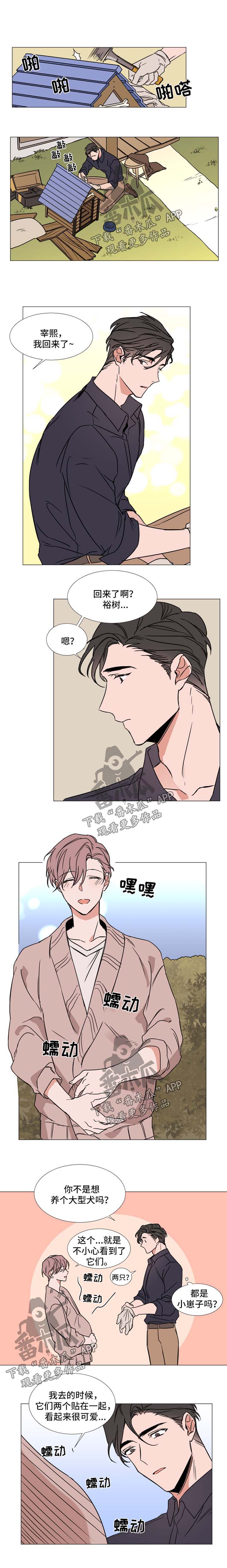 植物效应第59集漫画,第84章：幸福生活（完结）2图