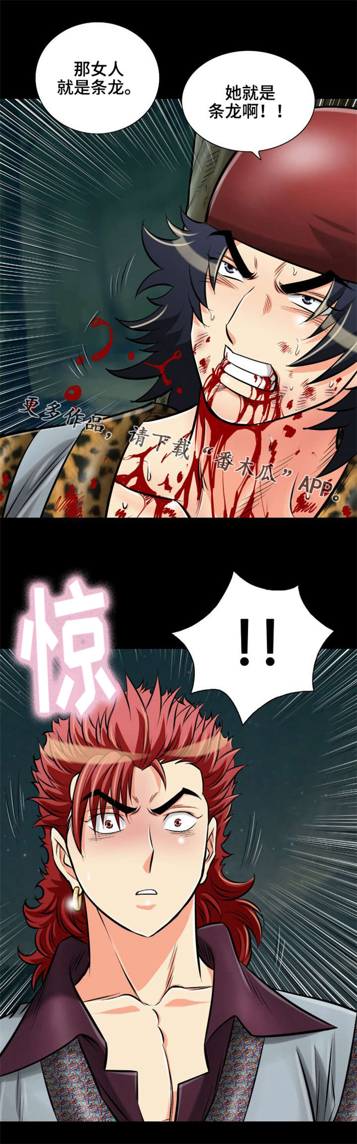 电影《神龙策》简介漫画,第28章：龙女3图