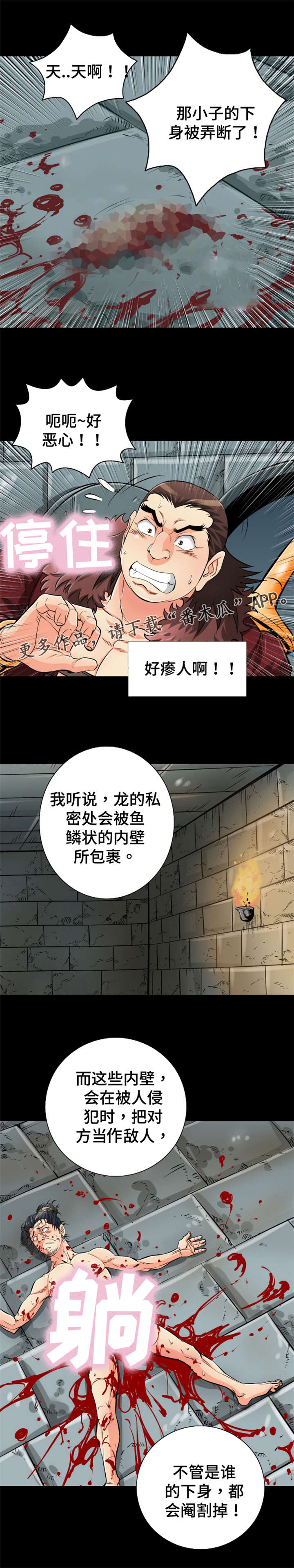 神龙探宝漫画,第61章：没尾巴的龙1图
