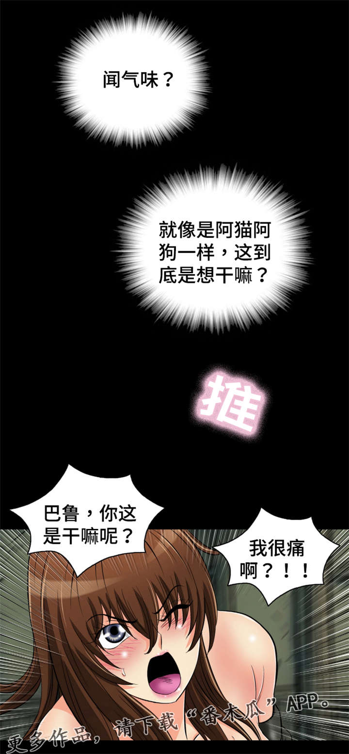 电影《神龙策》简介漫画,第70章：心上人5图