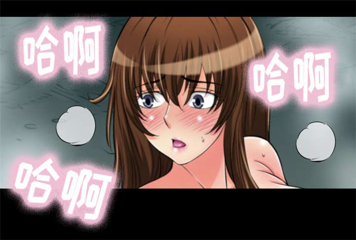 神龙抉择漫画,第13章：普通的蛇1图